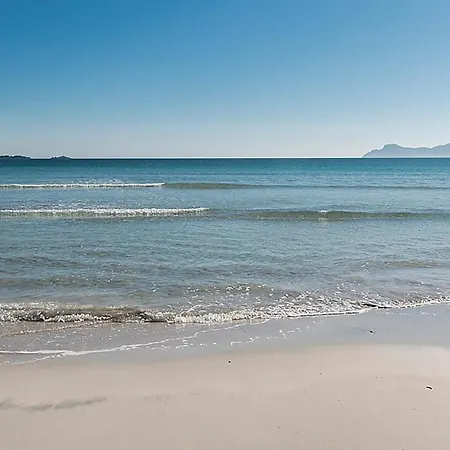 Baladres * Alcúdia